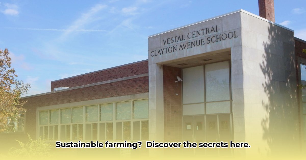 central-tractor-vestal
